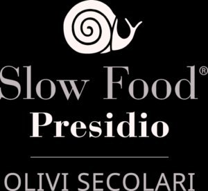 Presidio Slow Food — Olivi secolari